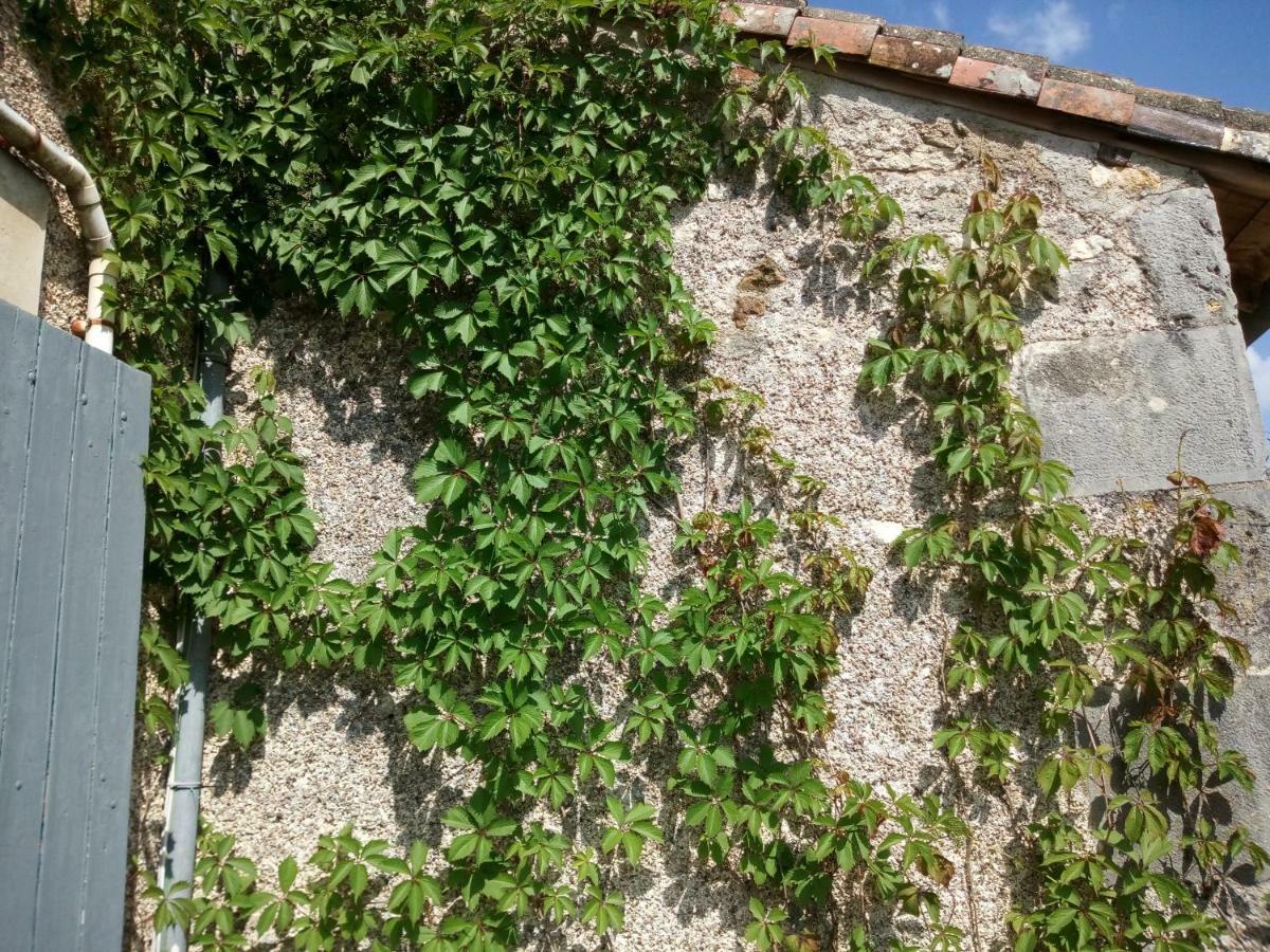 Le Petit Cochon Chambre D' Hotes Haims Exteriér fotografie